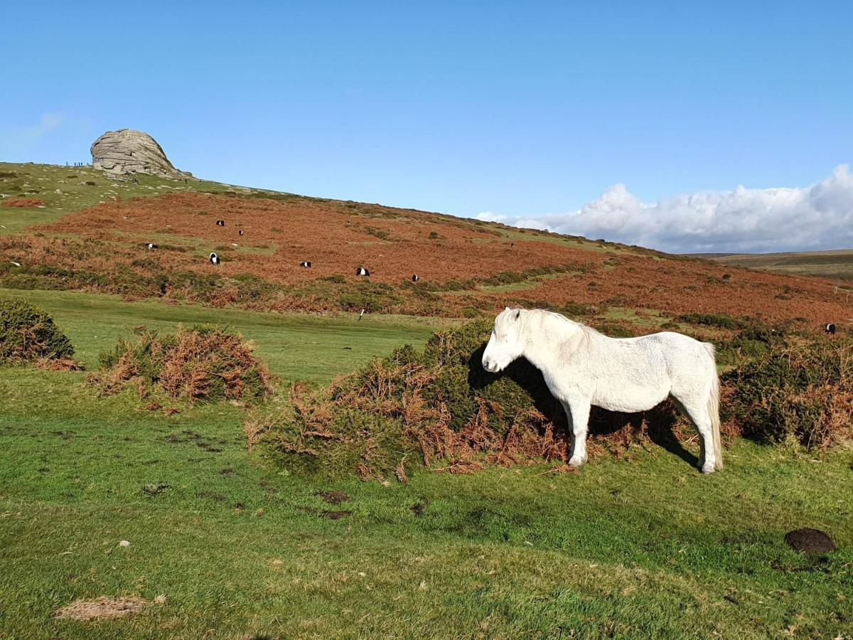 The Stable - The Cottages At Blackadon Farm أيفي بريدج المظهر الخارجي الصورة